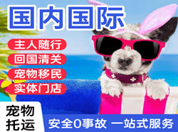 舟山普陀山空运国际宠物托运 【国